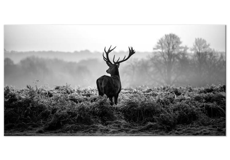 Large Canvas Print Deer in the Wild II [Large Format]