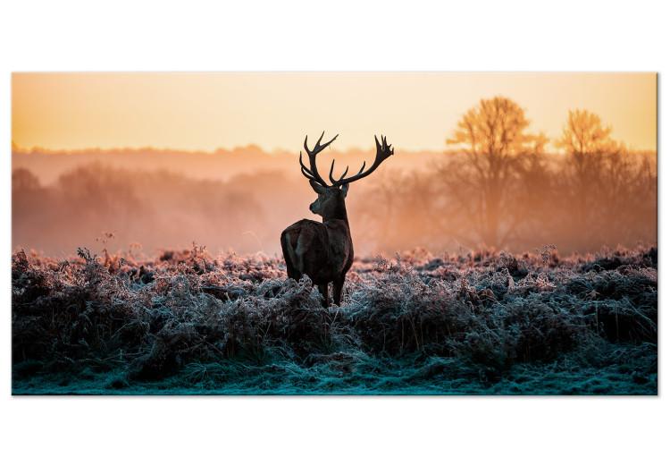 Large Canvas Print Frosted Field II [Large Format]