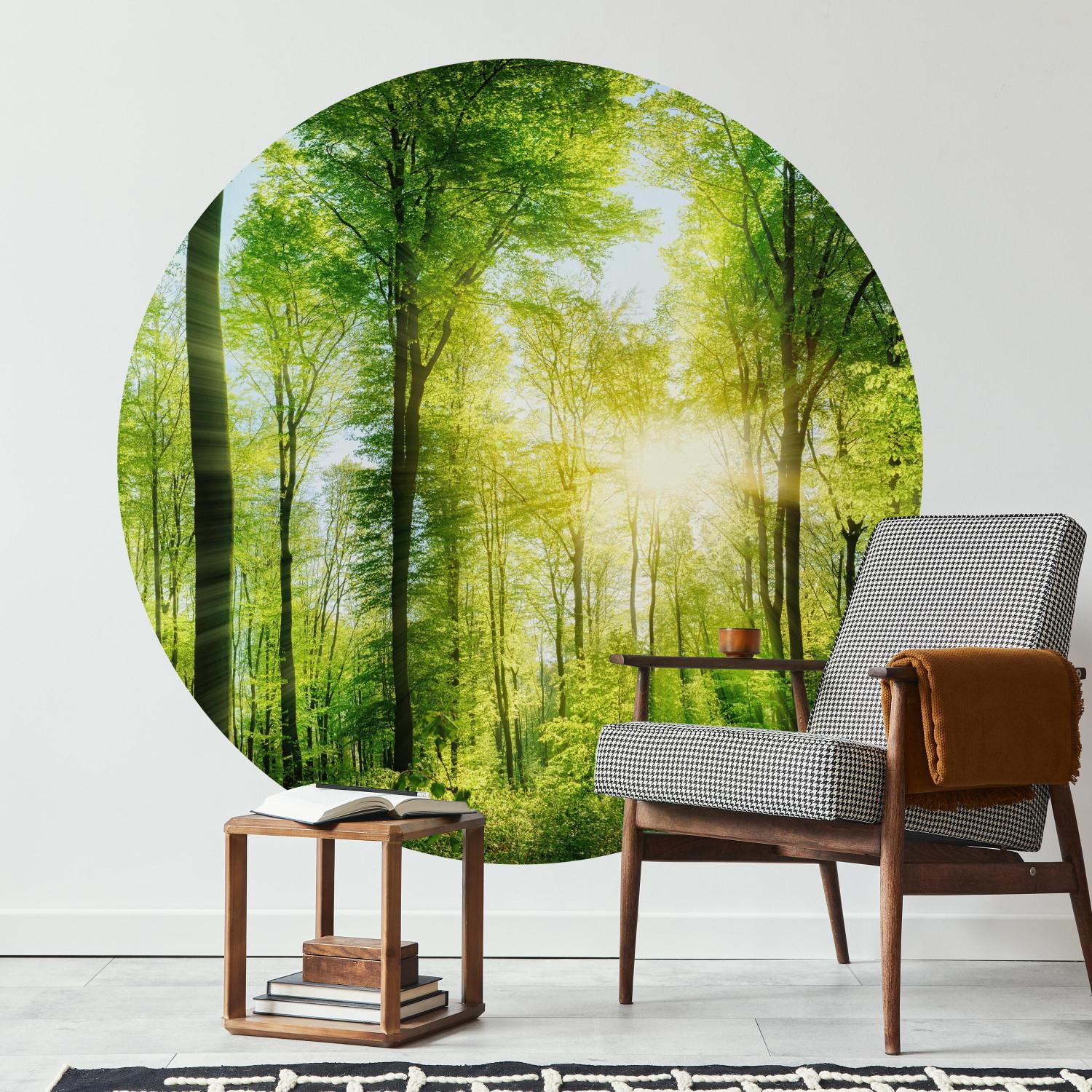 Round wallpaper Forest in the Sunshine - Lush Deciduous Trees in the Morning