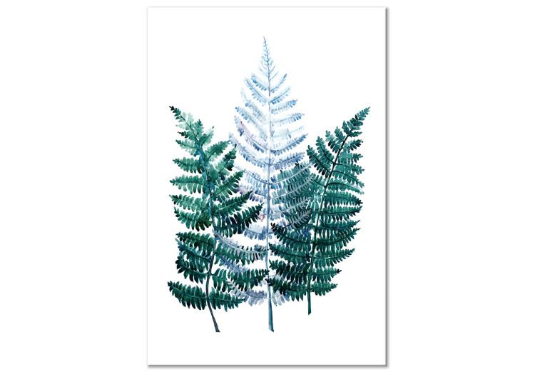 Canvas Print Fragrant Nature - Green Fern Leaves on a White Background