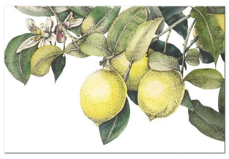 Lemons and Leaves (1-piece) - colorful citrus fruits on a tree