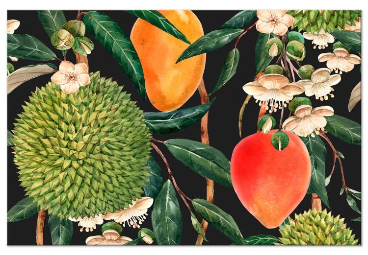 Exotic Fruits (1-piece) - tropical plants on a black background
