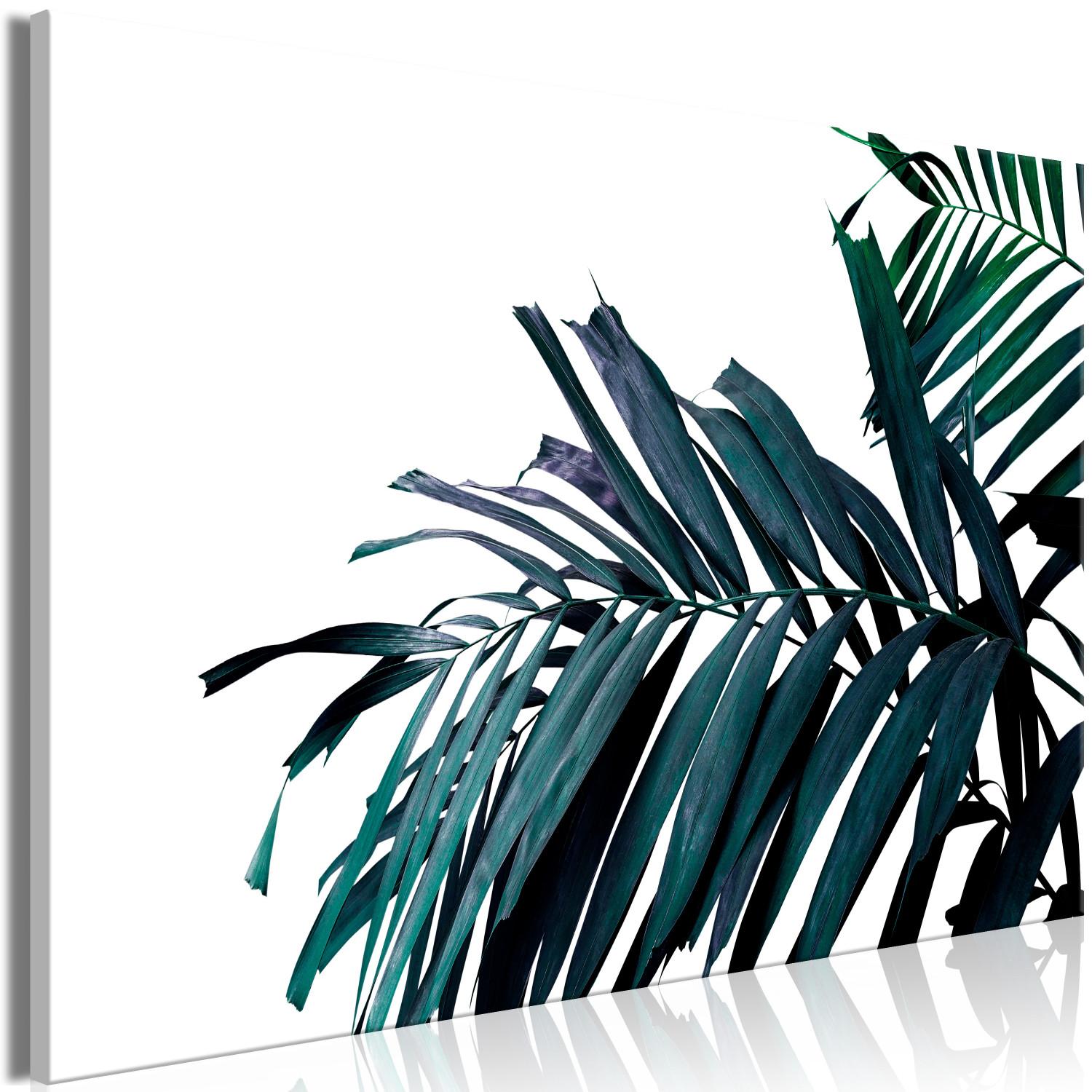 Canvas Palm branch branch - dark blue-green palm leaves on a white background