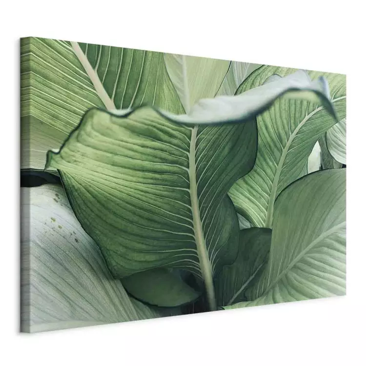 Nature Up Close (1-piece) - landscape with large exotic leaves