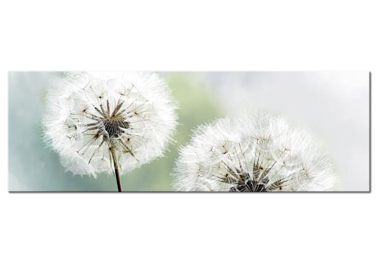 Large Canvas Print Composition with Dandelions III [Large Format]
