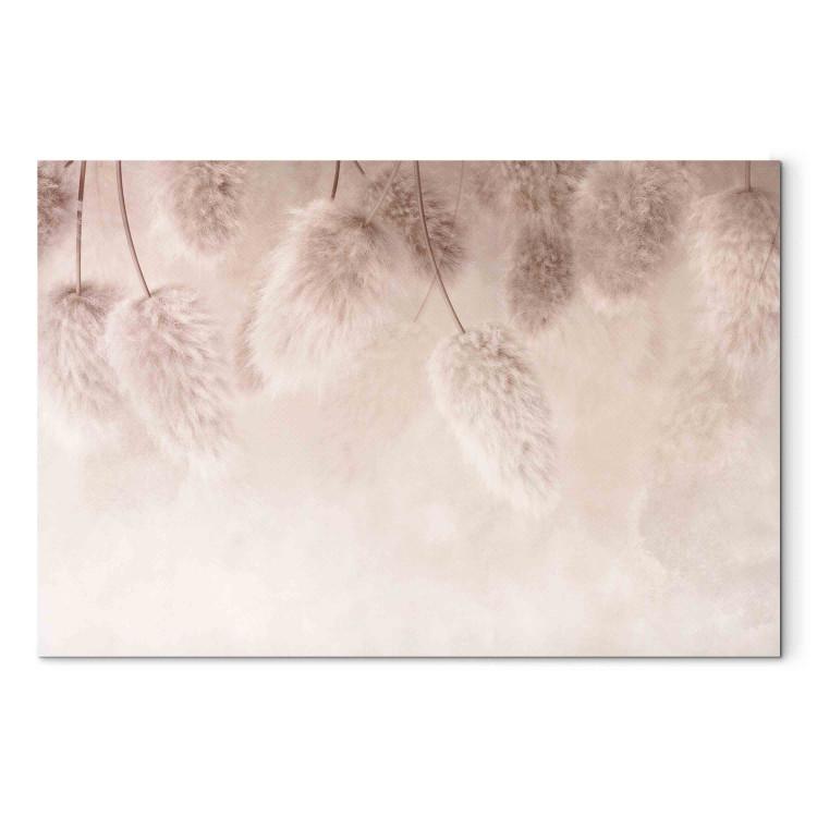 Canvas Print Pink Boho - Pastel Composition With Fluffy Plants
