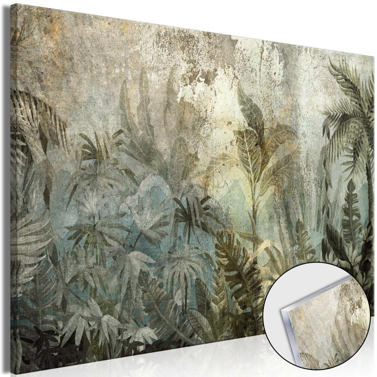 Acrylic Print Jungle - An Exotic Forest on an Island in Natural Green Colors [Glass]