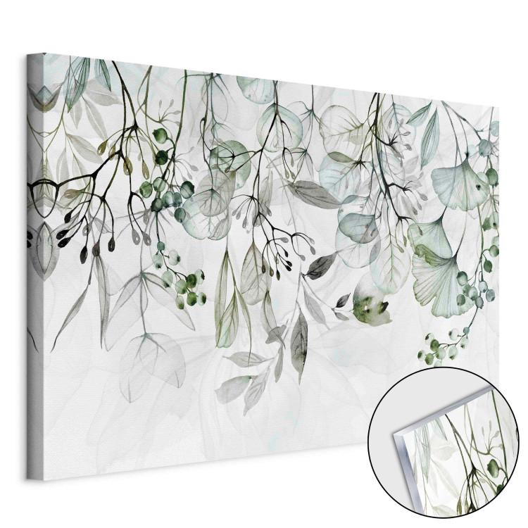 Acrylic Print Watercolor Leaves - Green Flowers and Fruits on White Background [Glass]