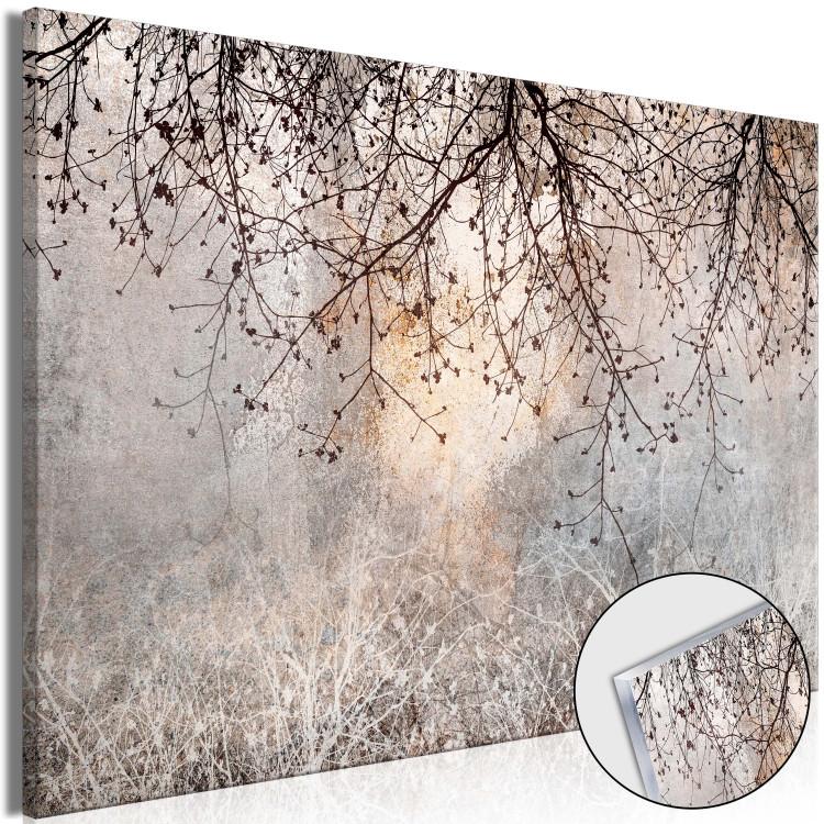 Acrylic Print Twigs Against the Dawn - Delicate Trees With Brown Flowers [Glass]