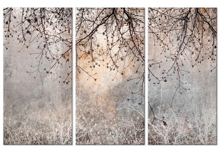 Canvas Print Morning - Sunrise Against a Background of Delicate Branches With Flowers