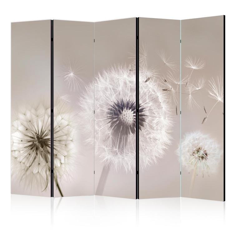 Room Divider The Fleetingness of Summer - Delicate Composition With Dandelions II [Room Dividers]