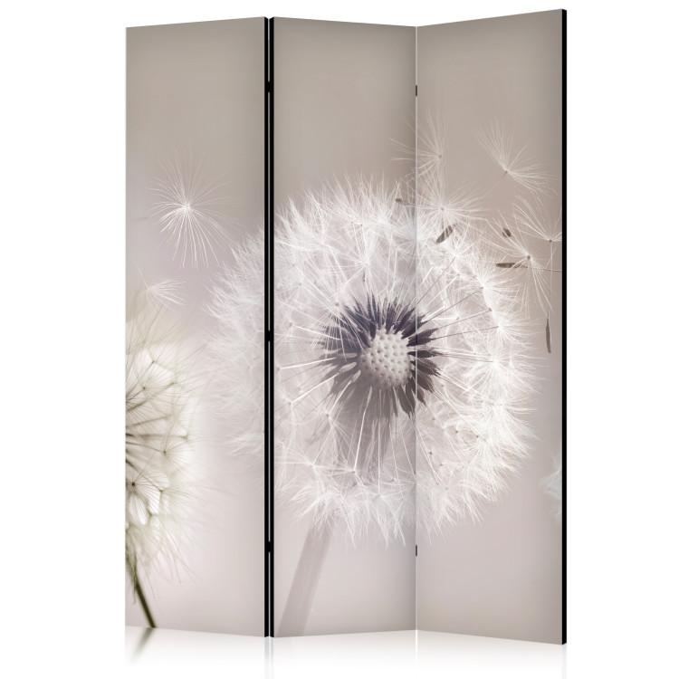 Room Divider The Fleetingness of Summer - Delicate Composition With Dandelions [Room Dividers]