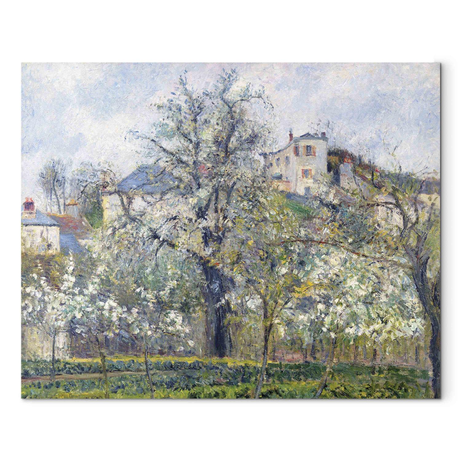 Canvas The Vegetable Garden with Trees in Blossom, Spring, Pontoise