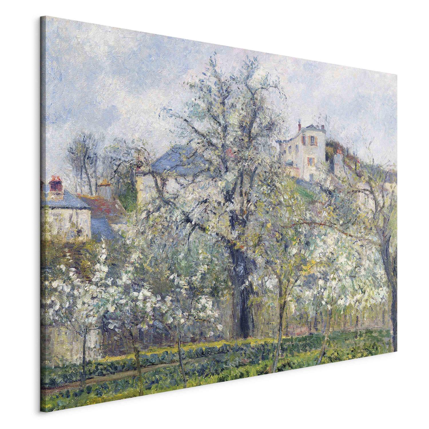 Canvas The Vegetable Garden with Trees in Blossom, Spring, Pontoise