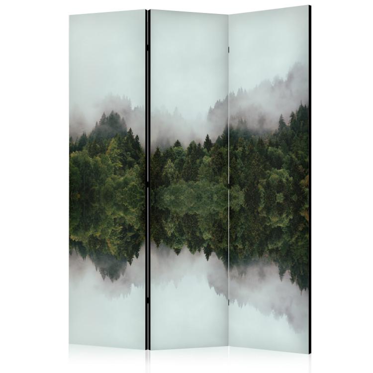 Room Divider Fog in the Forest - Atmospheric Landscape With Trees [Room Dividers]