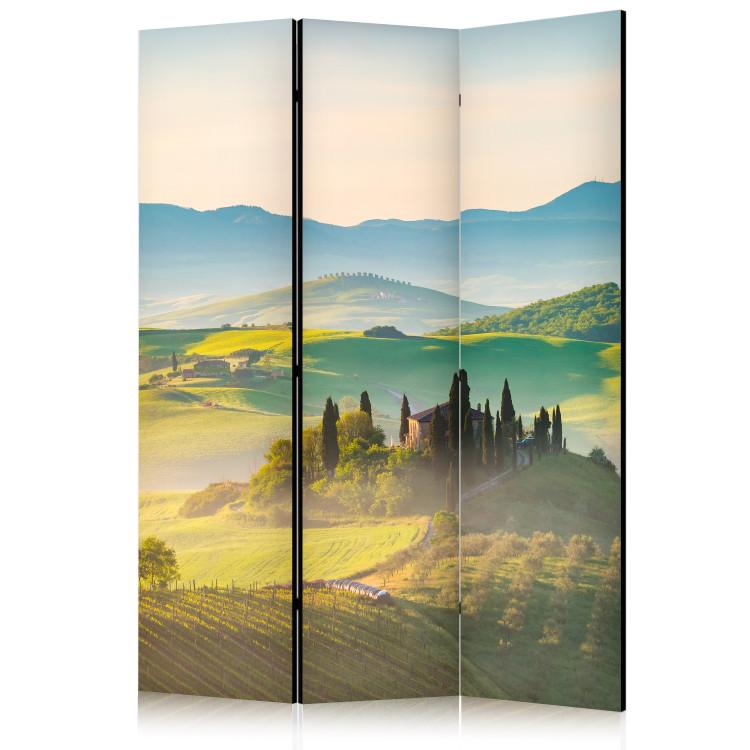 Room Divider Tuscany - Idyllic Landscape at Sunrise [Room Dividers]