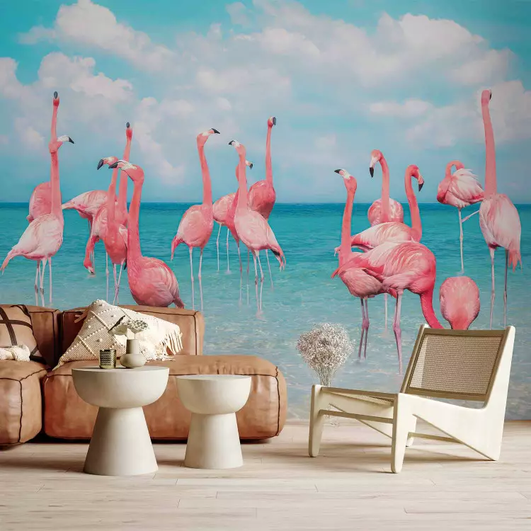 Flock of flamingos - pink birds in crystal clear waters