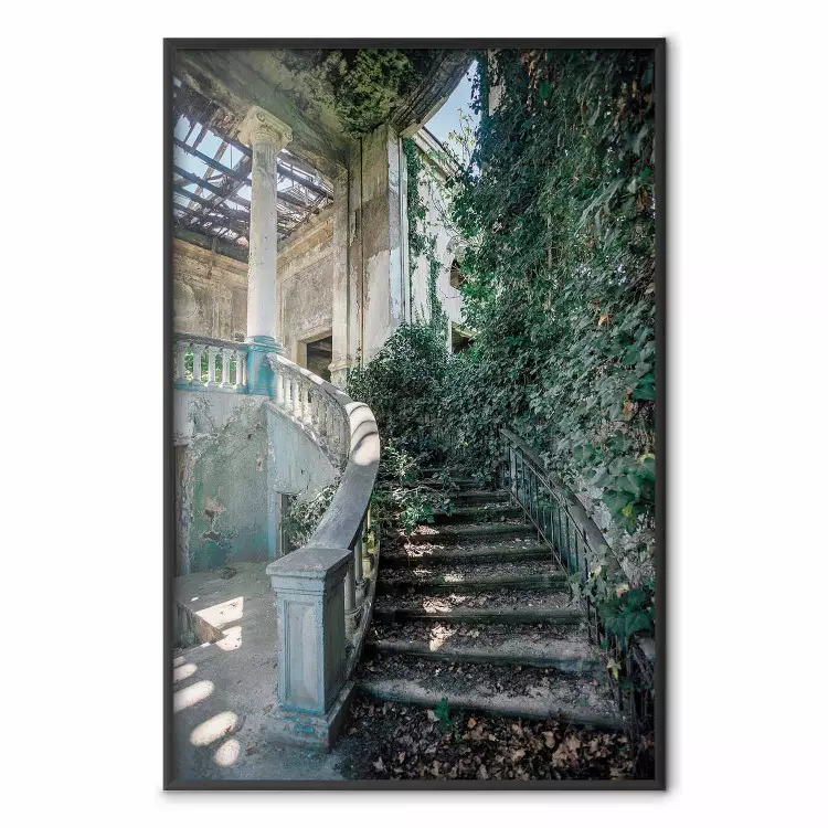 Overgrown Stairs - Abandoned Staircase Amidst Greenery