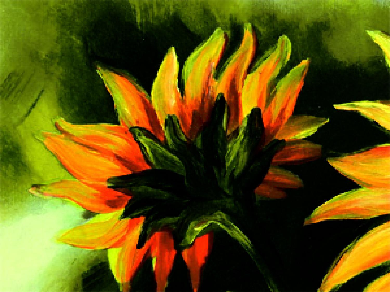 Canvas Sunflowers
