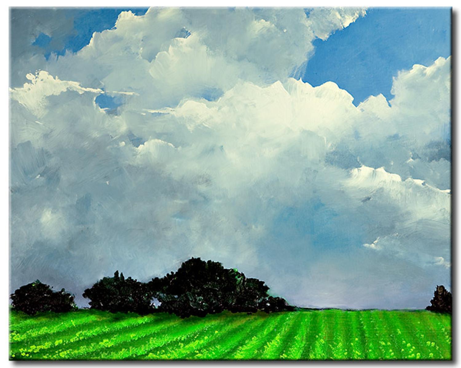 Canvas Rural idyll - green field landscape on the background of a blue sky