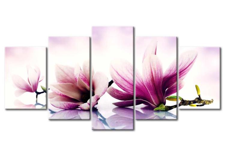 Canvas Print Pink flowers: magnolias