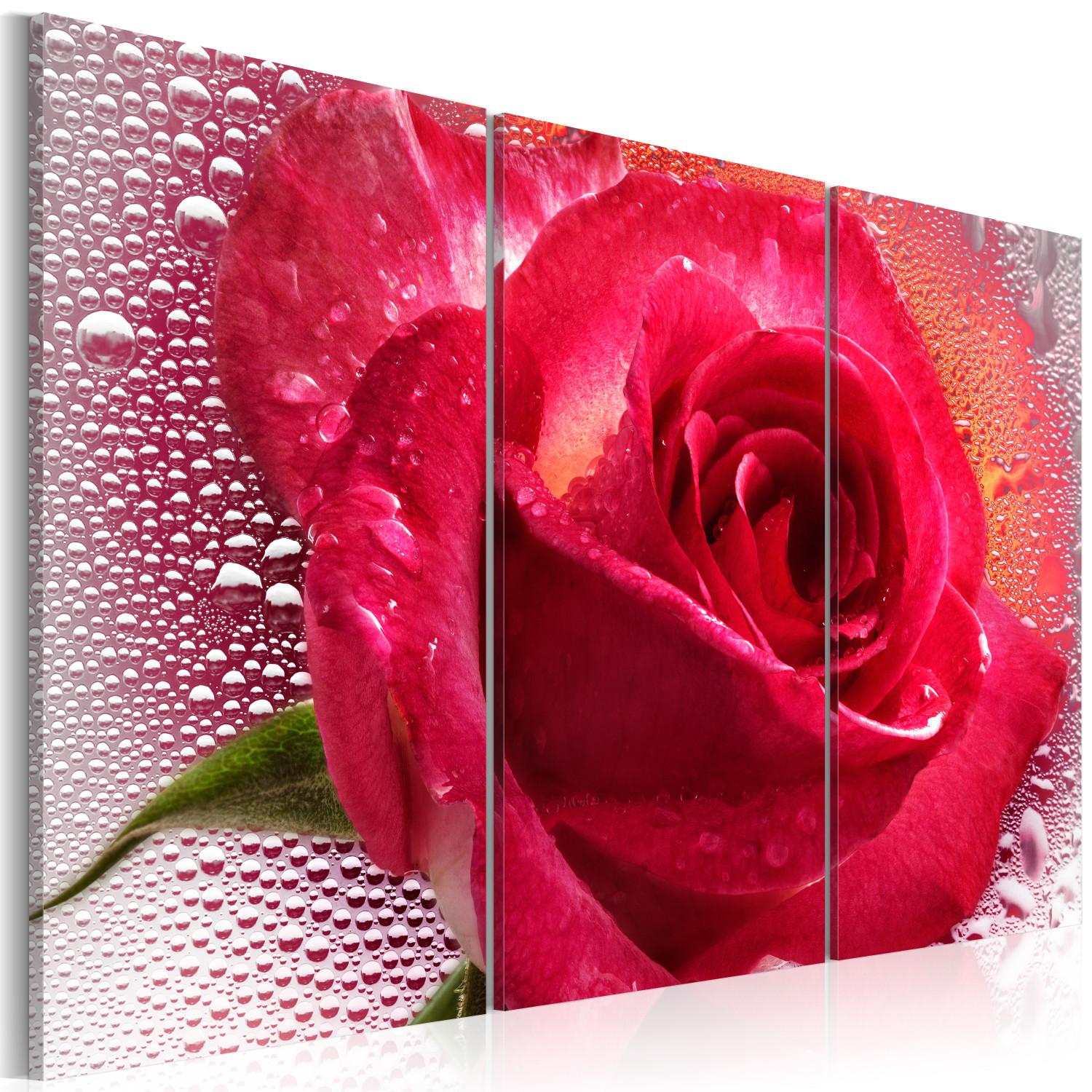 Canvas Lady Rose - triptych