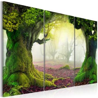 Canvas Mysterious forest - triptych