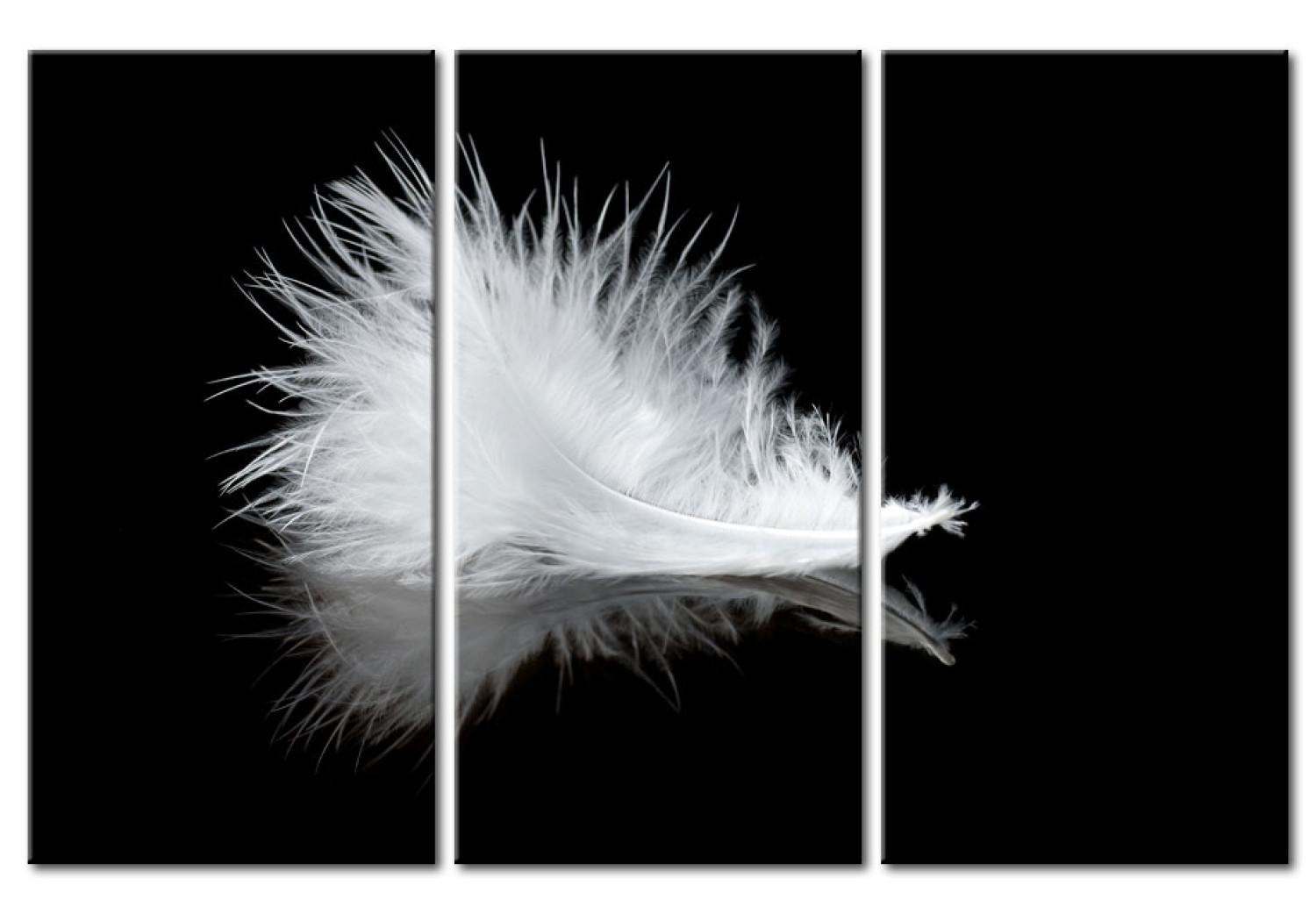 Canvas A small feather