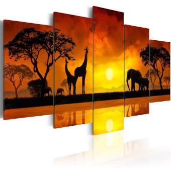 Canvas Savanna - sunset