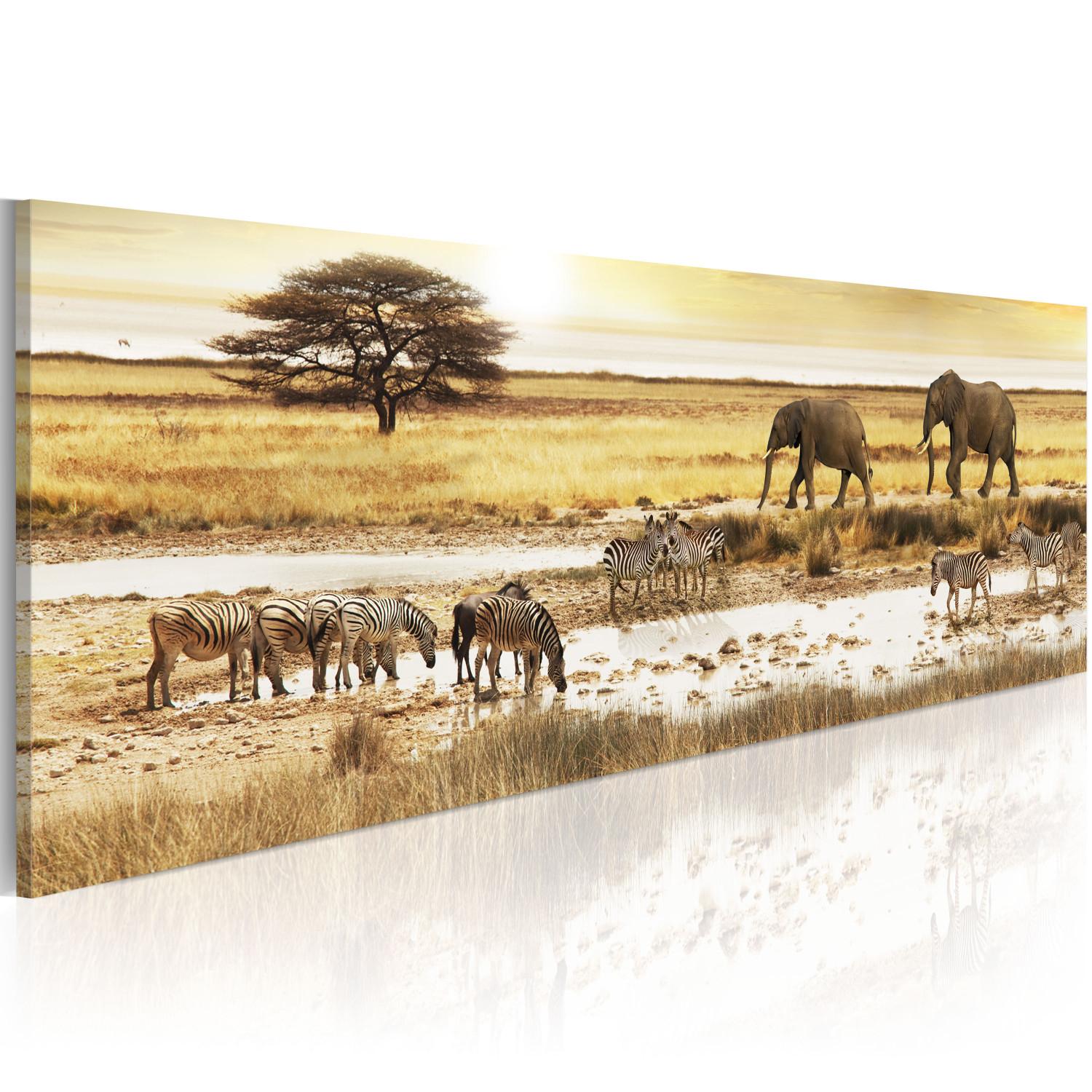 Canvas Africa: at the waterhole