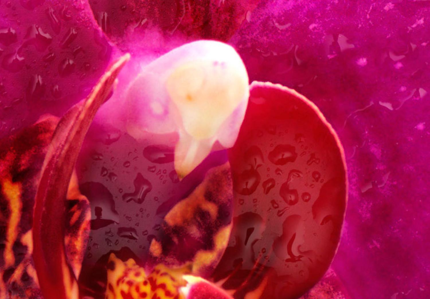 Canvas Exotic orchids