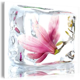 Canvas Frozen magnolia