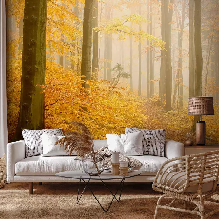 Wall Mural Forest - autumn