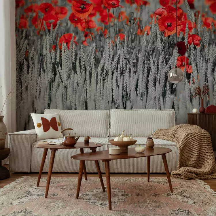 Wall Mural Red Poppies in Black and White Grain - Contrasting Abstraction of Flowers