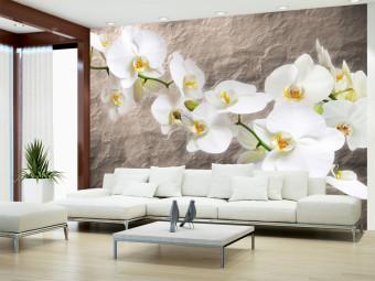 Wall Mural Orchid Flowers - White Flowers on a Gray Background with Irregular Texture