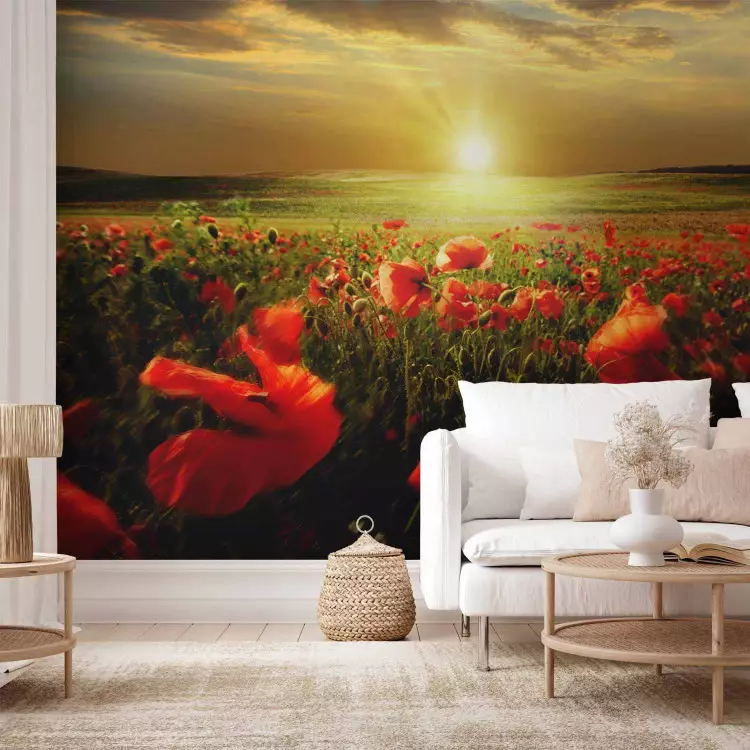 Wall Mural Poppy Field - Morning and Floral Motif in the Form of a Meadow in the Morning Sun