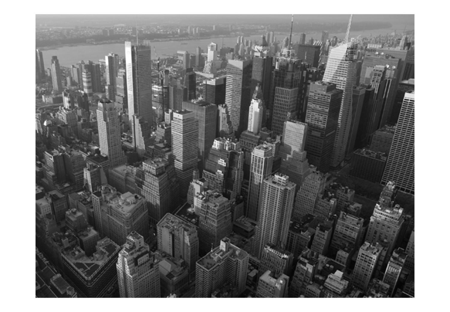 Wall Mural Bird's Eye View of New York - City Architecture in Shades of Gray