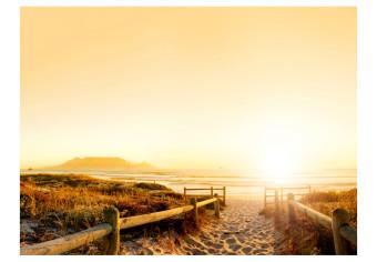 Wall Mural Seascape - Sandy Beach by the Sea Bathed in Sun Rays