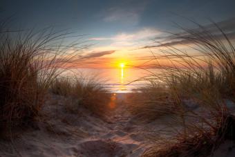 Wall Mural Coastal Landscape - Sunset over the sea against tall grass