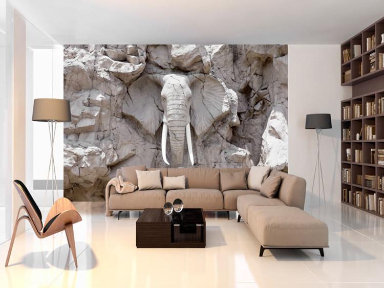 Wall Mural The Bridge of Time (South Africa)