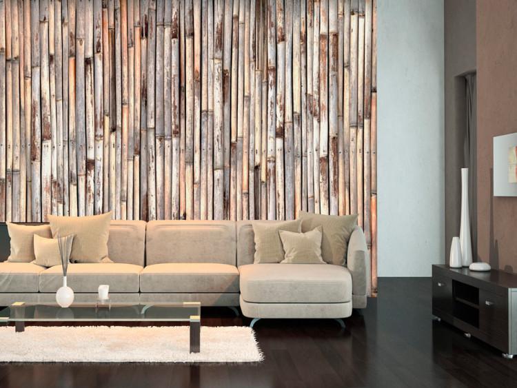 Wall Mural Asian Plant Background - Wooden Design with Gray Dried Bamboo