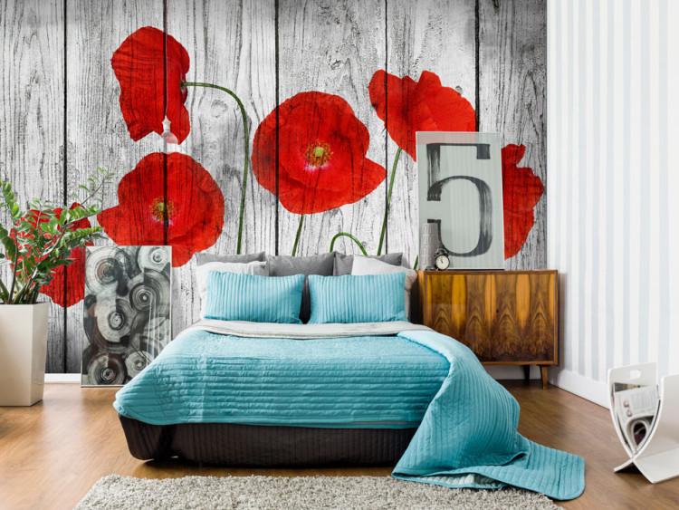 Wall Mural Tale of Red Poppies