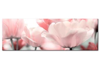 Canvas Pink Tulips
