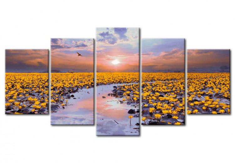 Canvas Print Flowery river - a landscape full of flowers on the water at sunset