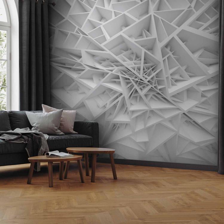 Wall Mural White Spider's Web