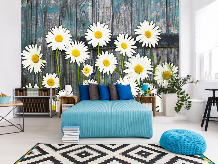 Wall Mural Floral motif - daisies on a board background in shades of blue