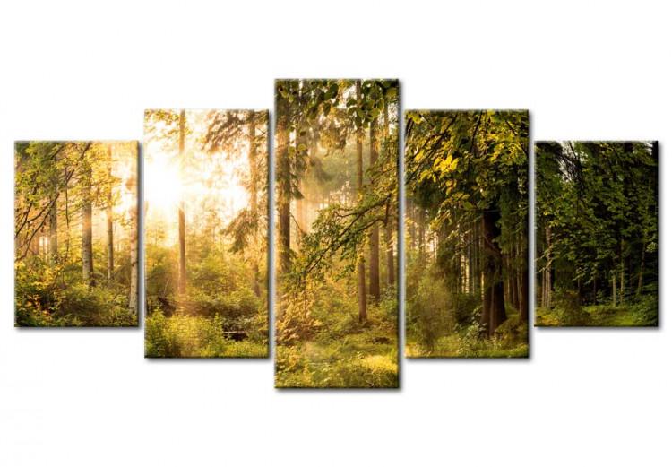 Canvas Print Magic of Forest