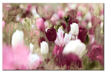 Canvas Meadow of Tulips