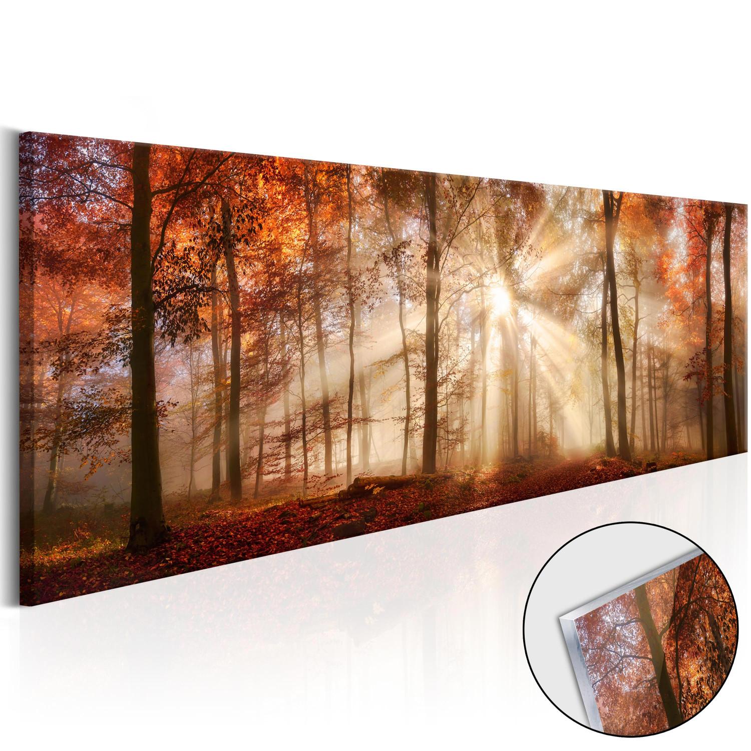 Acrylic Print Autumnal Dawn [Glass]