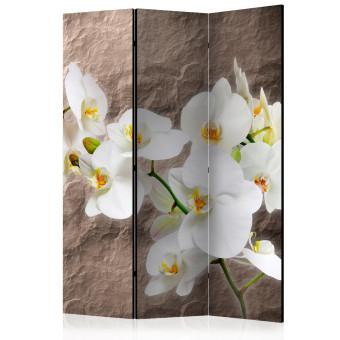 Room Divider Orchid Immaculateness - white orchid flower on a stone texture